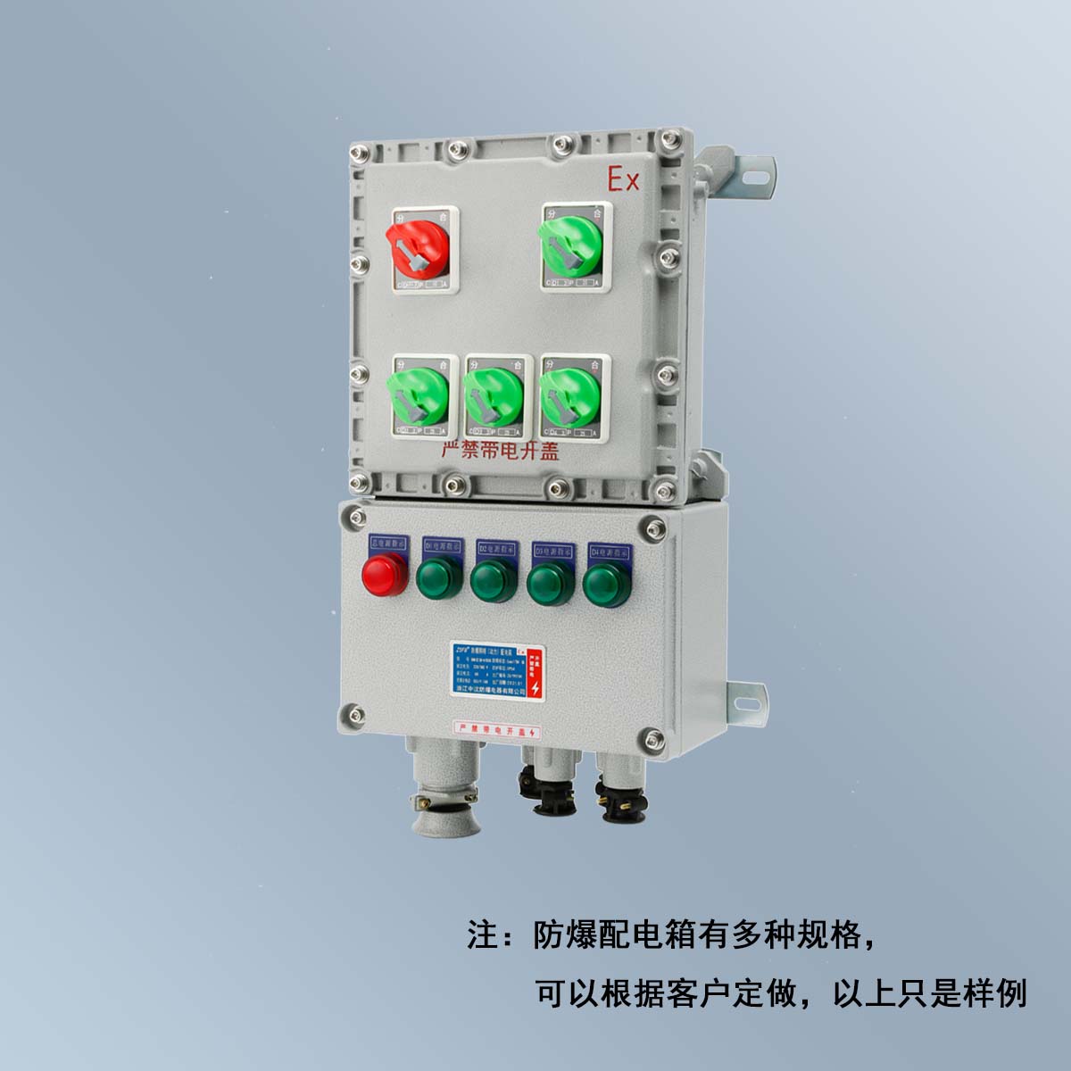 BXM(D)58 系列防爆照明(动力)配电箱 (ⅡB、ⅡC、DIP)